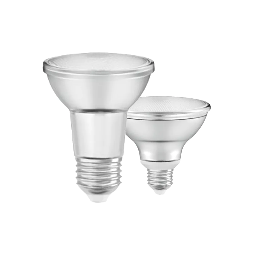  Lampade PAR LED dimmerabili
