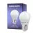 Noxion Lucent Lustre LED E27 Sferica Ghiaccio 2.5W 250lm - 827 Bianco Molto Caldo | Sostitutiva 25W
