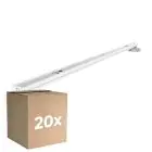 Confezione Multipack 20x Noxion Reglette Click V2 LED T8 | Adatto per 2x 120cm Tubo LED